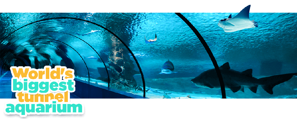 Antalya Aquarium